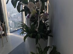 -平安金融中心云际观光层