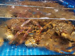 -海月轩海鲜豆捞(紫金塔店)