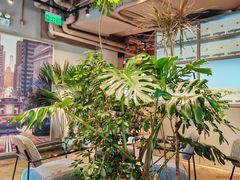 -Wagas沃歌斯(北京君太百货店)