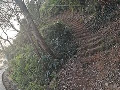 -东钱湖旅游度假区