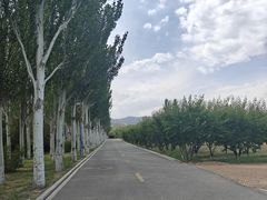 -乌素图国家森林公园