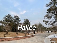 -坝河休闲公园
