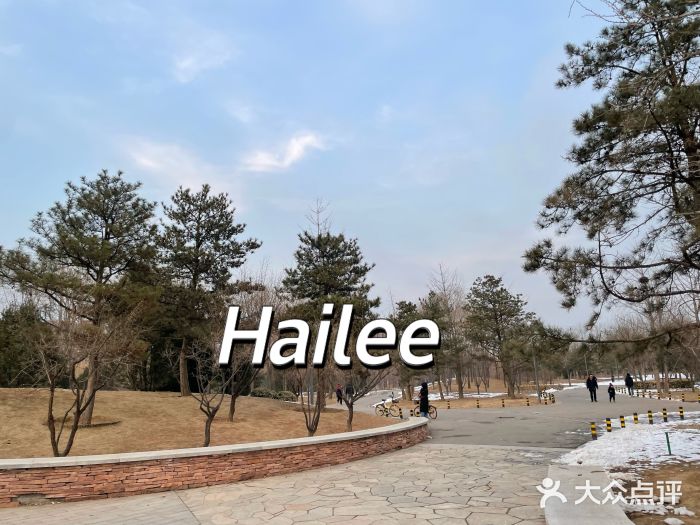 坝河休闲公园图片