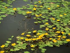 -池州市平天湖风景区