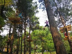 -梦幻奥陶纪景区