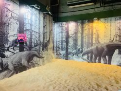 -恐龙探索乐园(磁器口店)