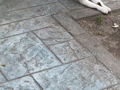 -夹江老头叶儿粑(石雁儿小区店)