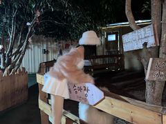 -HERRE·FARM 赫尔露营农场·团建聚会包场