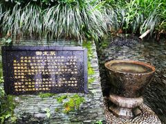 -十八棵（老龙井）御茶园(老龙井店)