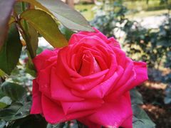 -人民公园(罗湖区)