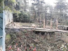 -贵州森林野生动物园