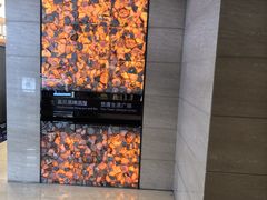 -北京朝阳悠唐皇冠假日酒店