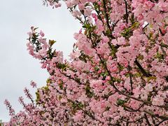 -龙美术馆(西岸馆)