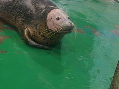 -嘉兴海底世界