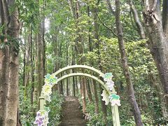 -广州市帽峰山景区