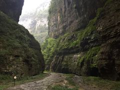 -重庆武隆天生三桥风景区-神鹰天坑