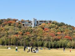 -羊山湖公园