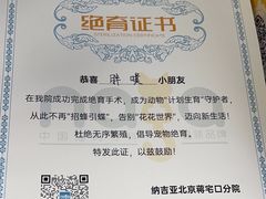 -纳吉亚猫专科动物诊疗中心(蒋宅口分院)