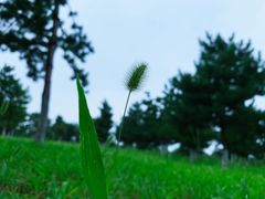 -洨河生态公园