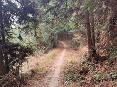 -大罗山风景区