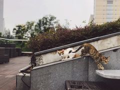 -UNI UNI(环亚凯瑟琳店)