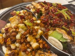 -锦尚阁烤鱼(望京新荟城店)