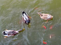 -迎泽公园