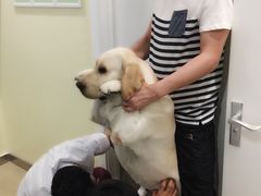 -美迦爱-牙专科·兔科·骨科诊疗中心(北苑店)