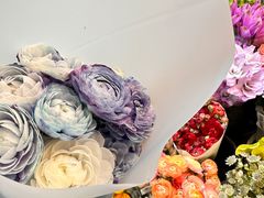 -双季花艺园艺市场(浦东店)