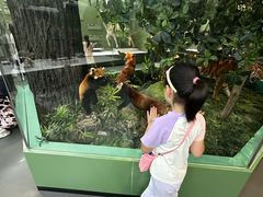 -国家自然博物馆