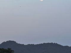 -中国湿地博物馆