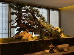 -新荣记(建国门外大街店)
