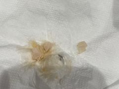-一鸣真鲜奶吧(温州南站店)