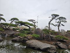 -罗红摄影艺术馆