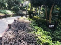 -船政文化景区-罗星塔公园