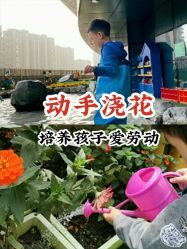 -可可天空农场(中大店)