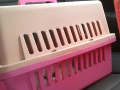 -十年猫舍·猫咪专门店(普陀店)