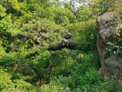 -天津盘山风景名胜区