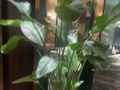 -南京空港温德姆花园酒店·MTF满庭芳中餐厅