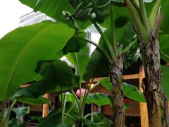 -潮喜竹溪荔湖酒家(荔枝湾店)