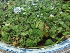 -盛记灶头菜饭(祝桥店)