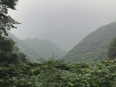 -太平万花山景区
