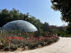 -深圳仙湖植物园