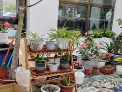 景观位-北京龙庆四季香农家饭庄·灶台鱼·碳烤虹鳟鱼(龙庆峡店)