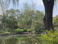 -秋霞圃