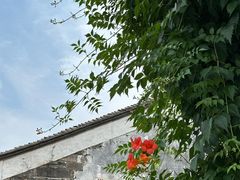 -青果巷历史文化街区