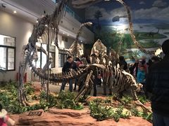 -自贡恐龙博物馆