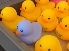 -LINLEE林里·手打柠檬茶(海曙天一广场店)