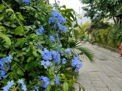 -三溪村
