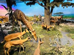 -国家自然博物馆